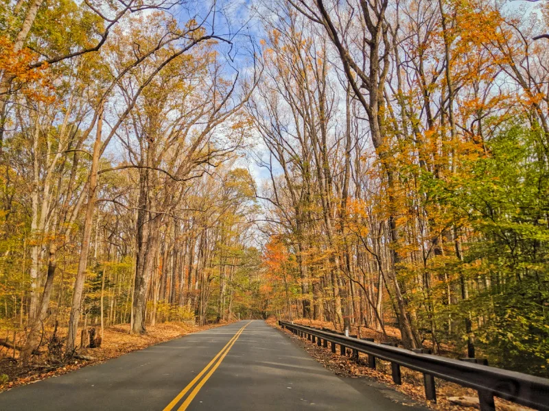 Fall Colors on Old Dominion Great Falls Park Fairfax Virginia 1