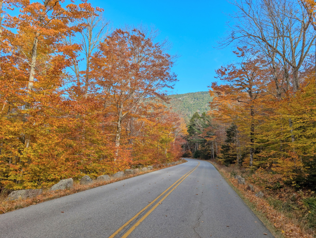 Fall Colors on Park Loop Road in Acadia National Park Maine