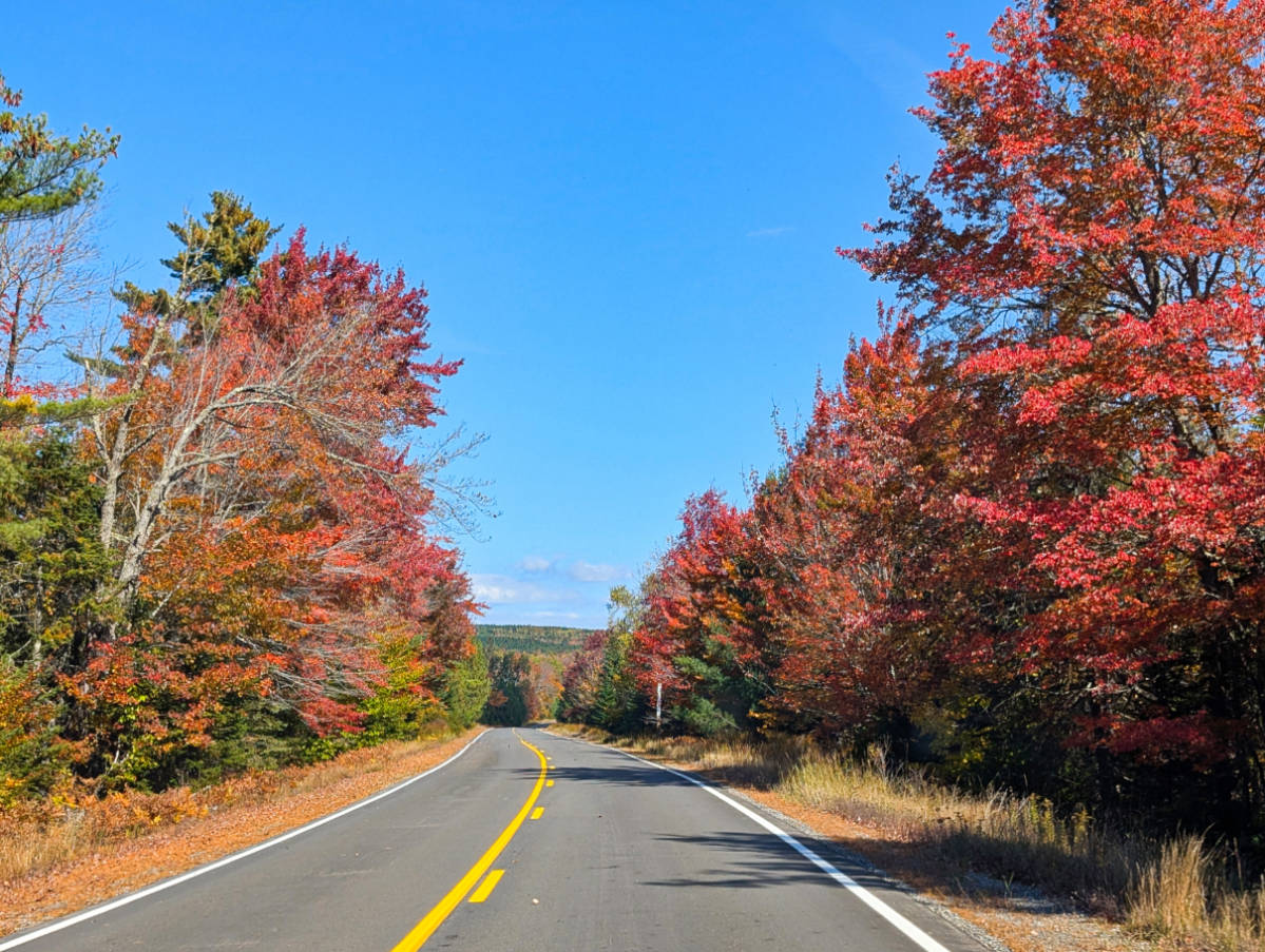 Fall Colors on Route 11 Skowhegan Maine