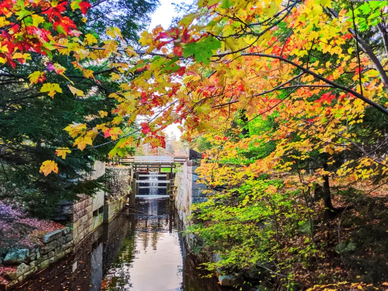 Fall Colours on Shubie Park Canals Dartmouth Halifax Nova Scotia 2