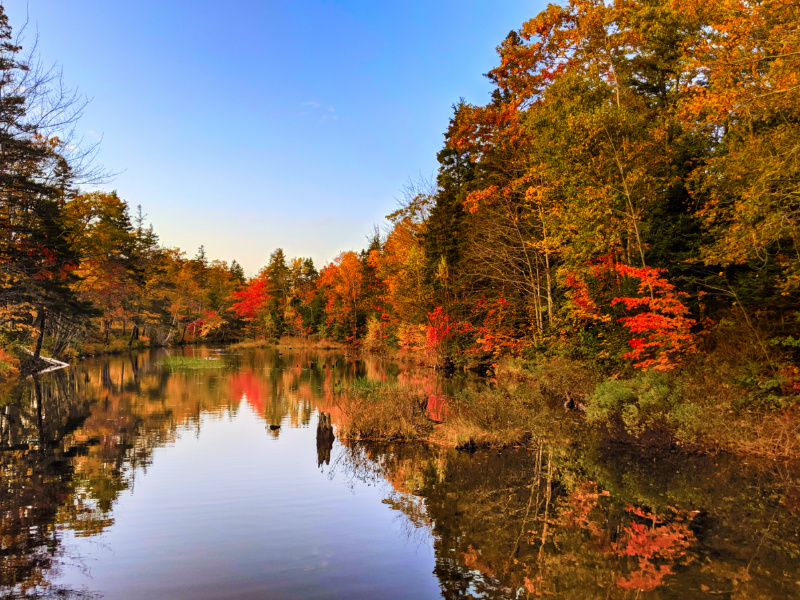 Fall Colours on Shubie Park Canals Pond Dartmouth Halifax Nova Scotia 2