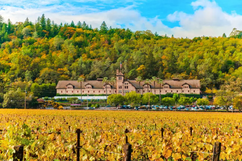 Fall at Culinary Institute of America Napa Valley 1