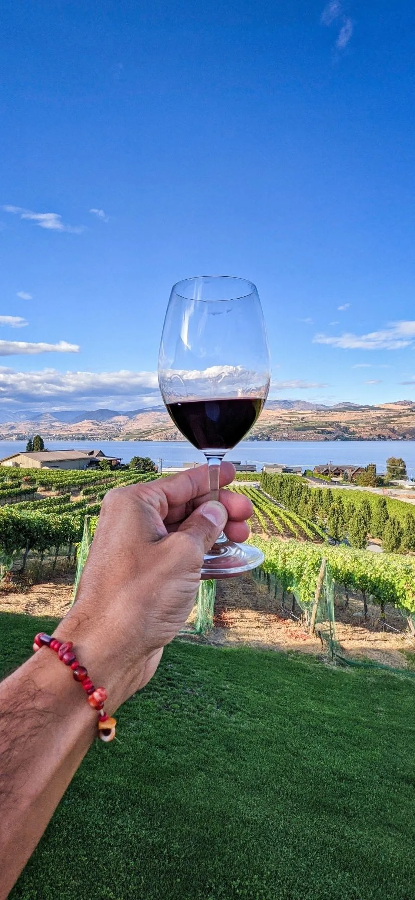 Family Friendly Wine Tasting at Lake Chelan Washington Wine Country