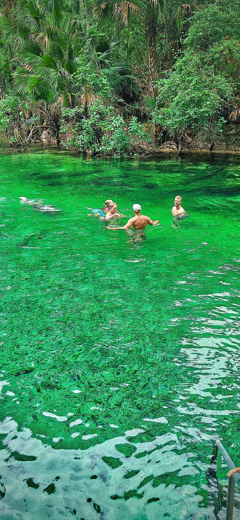 Family Swimming at Blue Spring State Park Florida