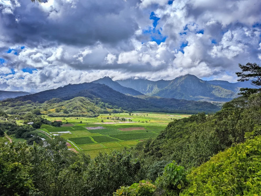 Farm Overlook Viewpoint on Kuhio Highway Princeville Kauai Hawaii 1