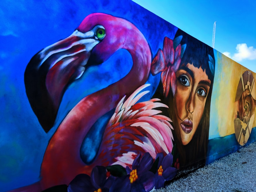 Flamingo Street Art Yucatan Road Trip