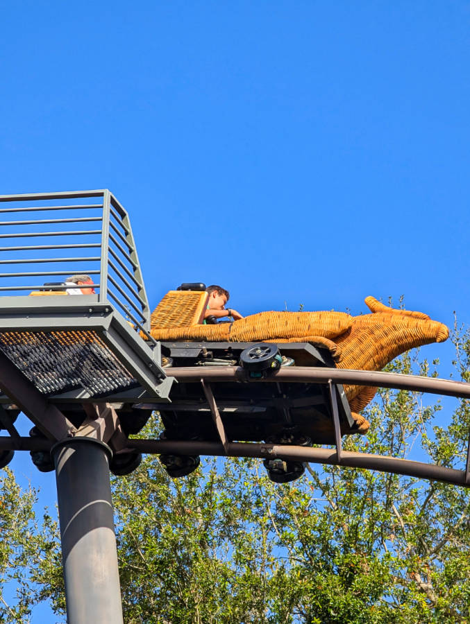 Flight of the Hippogryph at Harry Potter at Islands of Adventure Universal Orlando Resort