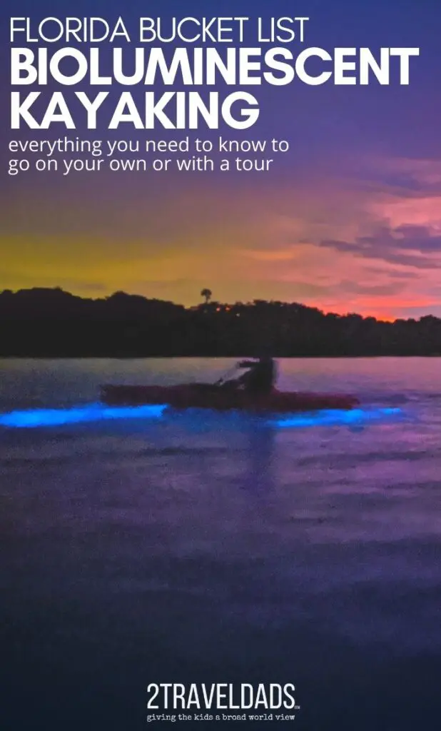 3 Best Places For Bioluminescent Kayaking in Florida - Florida Trippers