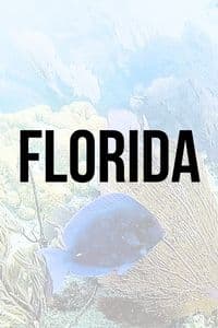 Florida Button