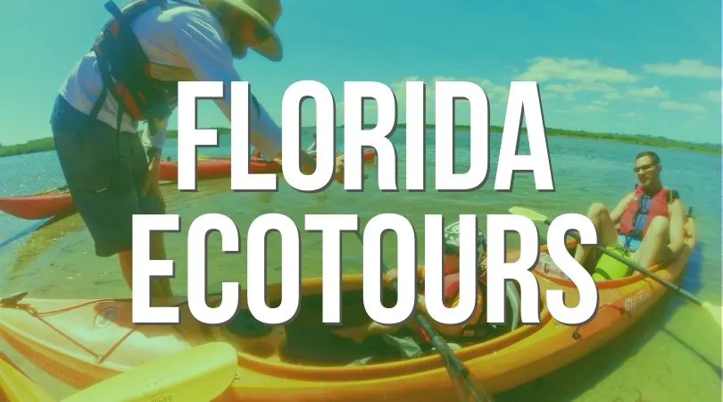 Ecotourism in Florida is one of the best ways to experience the beautiful natural unique to the state. From kayaking to education centers, there are many ecotours in North Florida.