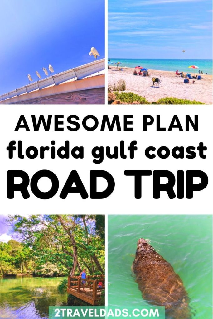 Florida Gulf Coast Road Trip Itinerary gators, manatees and pristine