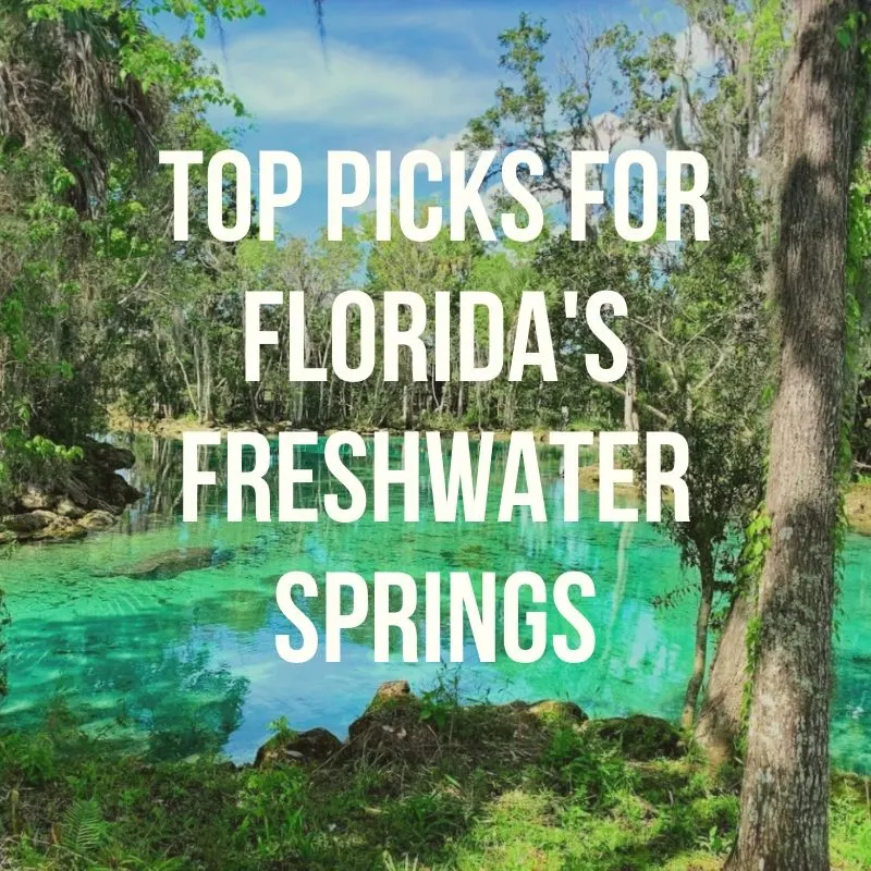 Florida Springs Podcast