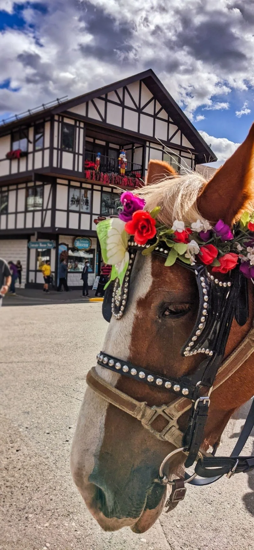 Flower Covered Horse drawn Carriage in Leavenworth Washington