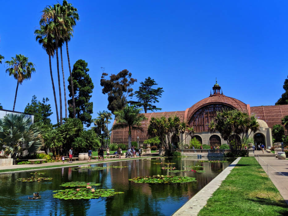 Flowers at Lily Pond and Conservatory in Balboa Park San Diego California 3