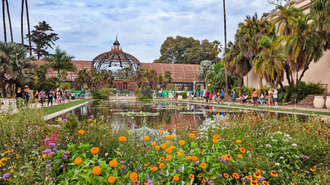 Flowers at Lily Pond and Conservatory under construction in Balboa Park San Diego California 2