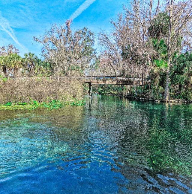 Footbridge at Silver Springs State Park Ocala National Forest Florida 2021 1