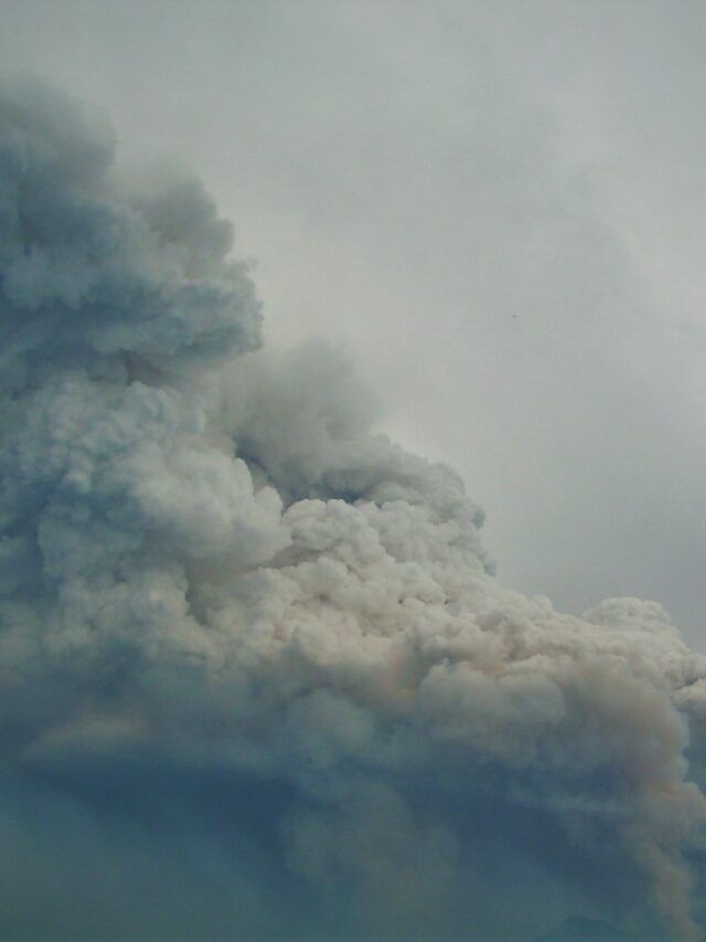 Forest Fire at Logan Pass Glacier National Park