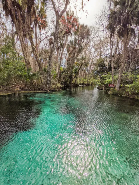 Fort King Paddling Trail at Silver Springs State Park Ocala National Forest Florida 2021 5