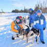 Full Taylor Family dogsledding at Borealis Basecamp Fairbanks Alaska 2