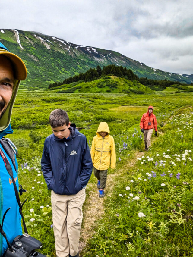 Full Taylor Family hiking through Wildflowers at Turnagain Pass Kenai Peninsula Alaska 1