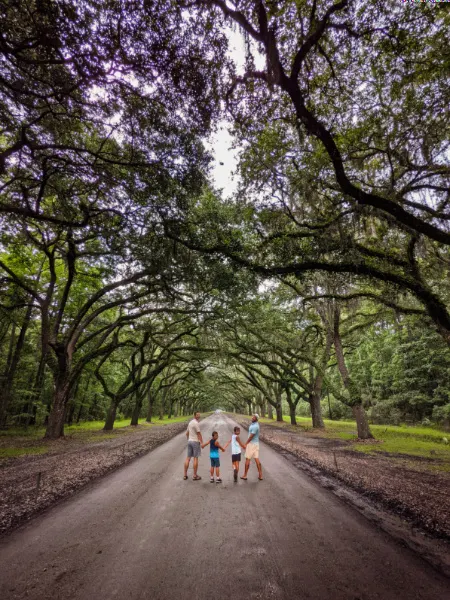 Full Taylor Family in Epic Live Oak Tree Tunnel at Wormsloe Historic Site Coastal Georgia Savannah 4