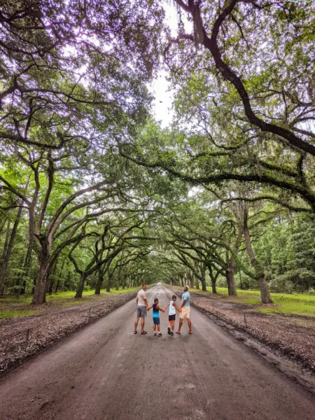 Full Taylor Family in Epic Live Oak Tree Tunnel at Wormsloe Historic Site Coastal Georgia Savannah 5