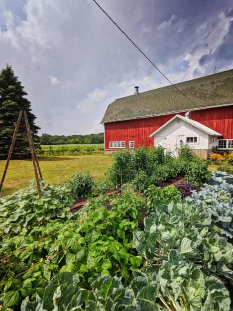 Garden at Farm in Delavan Lake Geneva Wisconsin 2