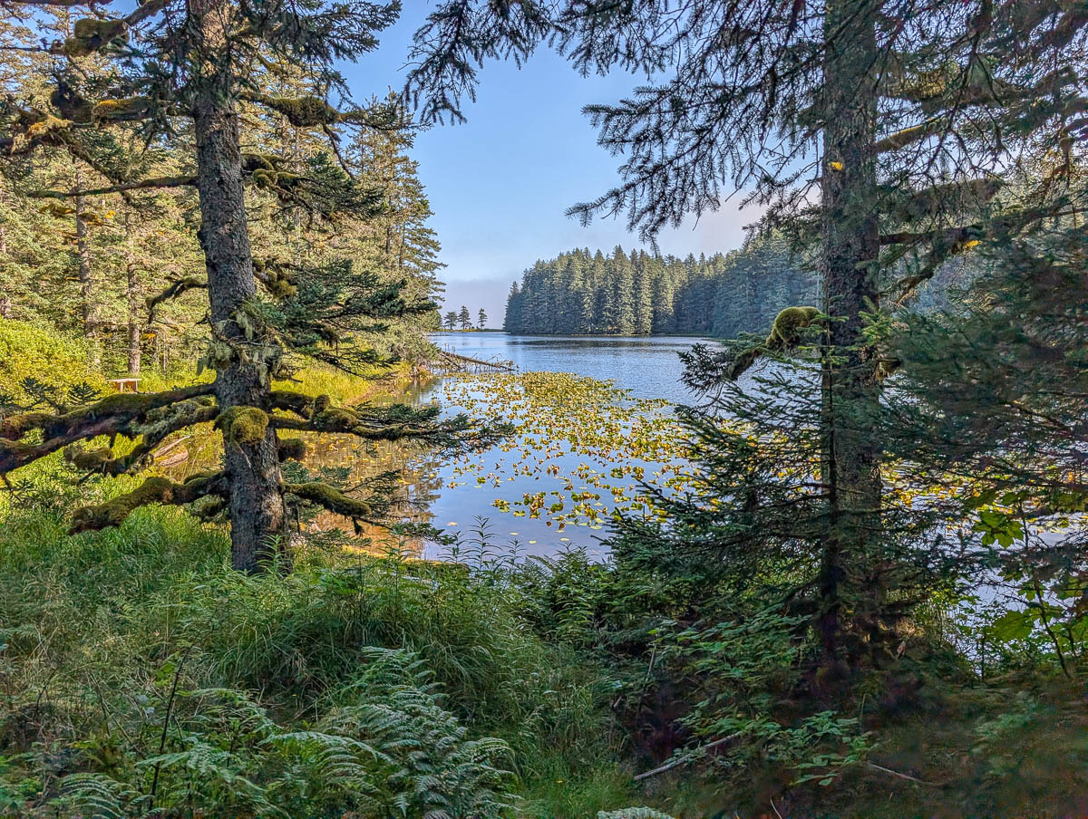 Gertrude Lake Trail at Fort Abercrombie State Park Kodiak Alaska 1