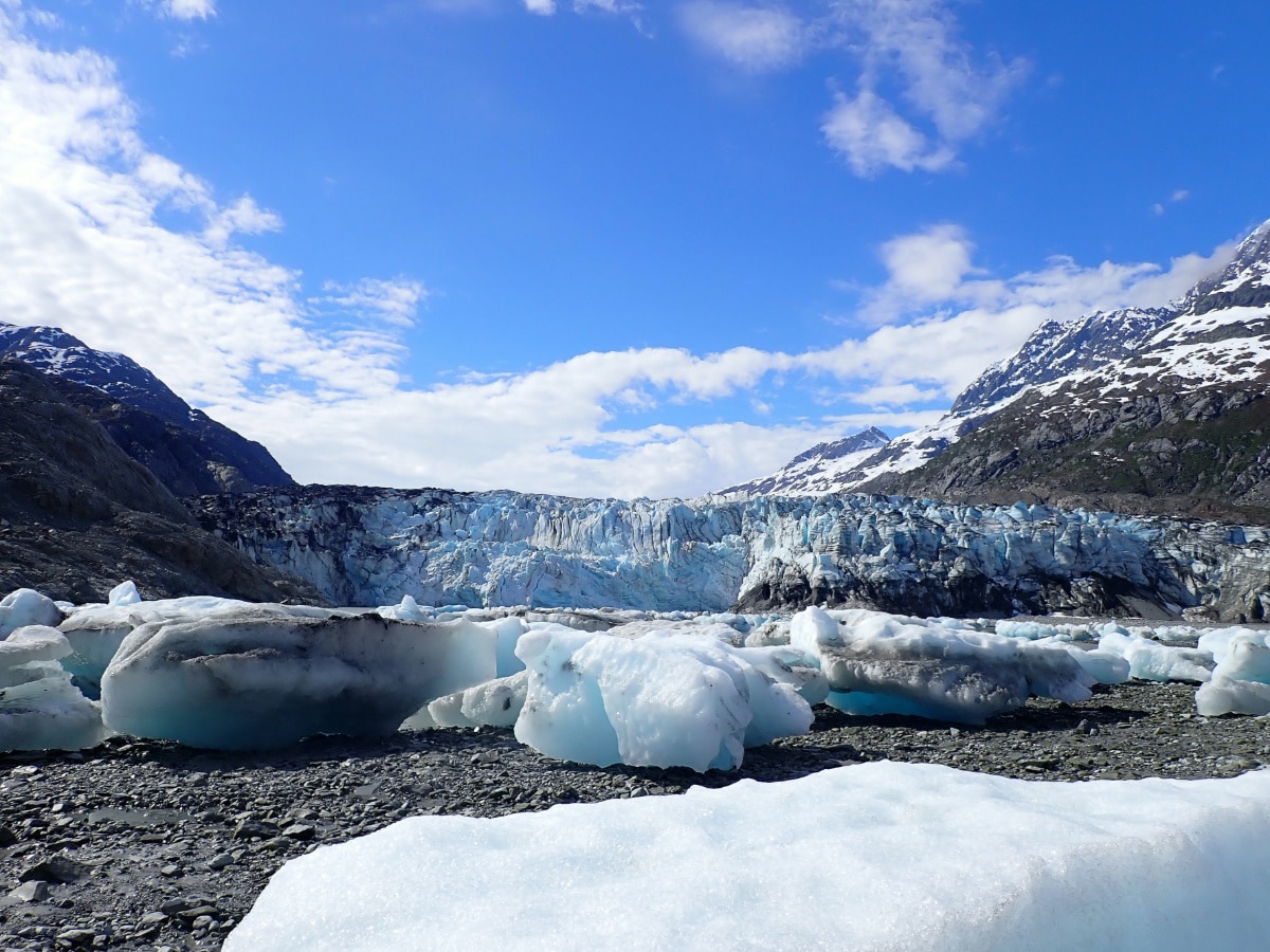 Glacial Ice from Lamplugh Glacier on moraine in Glacier Bay National Park Alaska