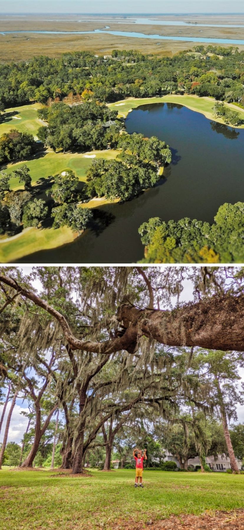 Golfing and Public Parks on St Simons Island