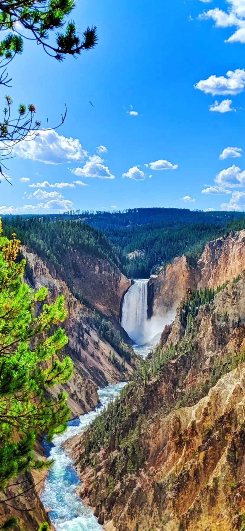 Grand Canyon of Yellowstone National Park