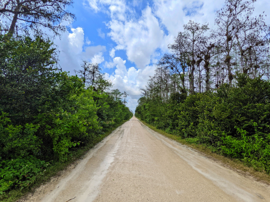 Grand Loop Big Cypress National Preserve Florida 2