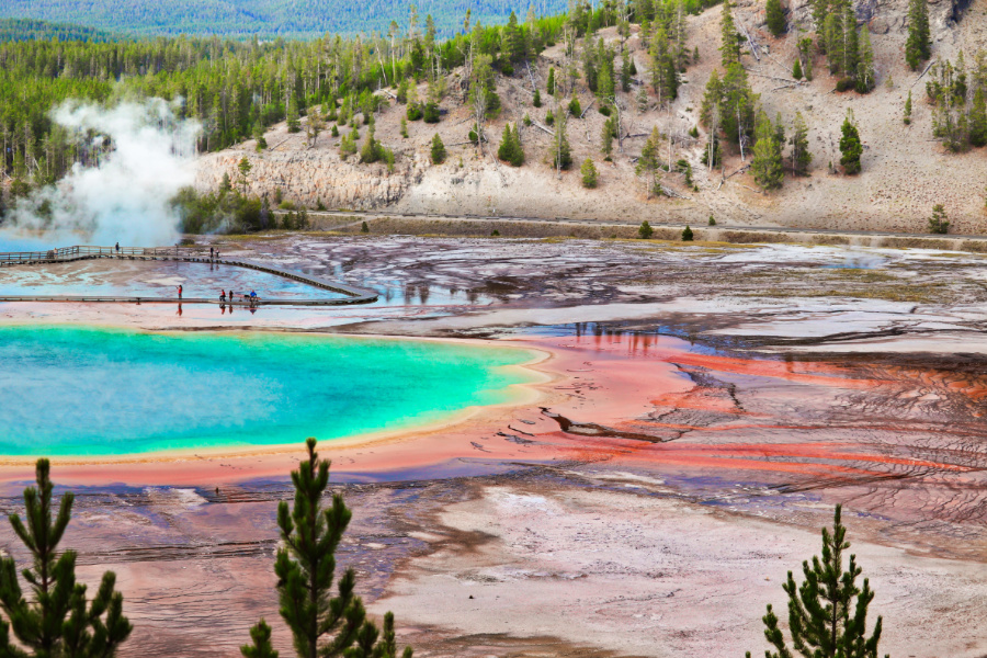 Grand Prismatic Spring from Overlook Midways Geyser Basin Yellowstone National Park 6b