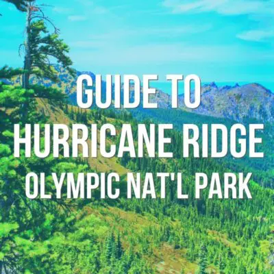 Hiking Hurricane Ridge: one of the best day trips to the Olympic Peninsula. Trails rated from easiest to most difficult, awesome Olympic NP views and nature. Tips for visiting Hurricane Ridge any time of year.