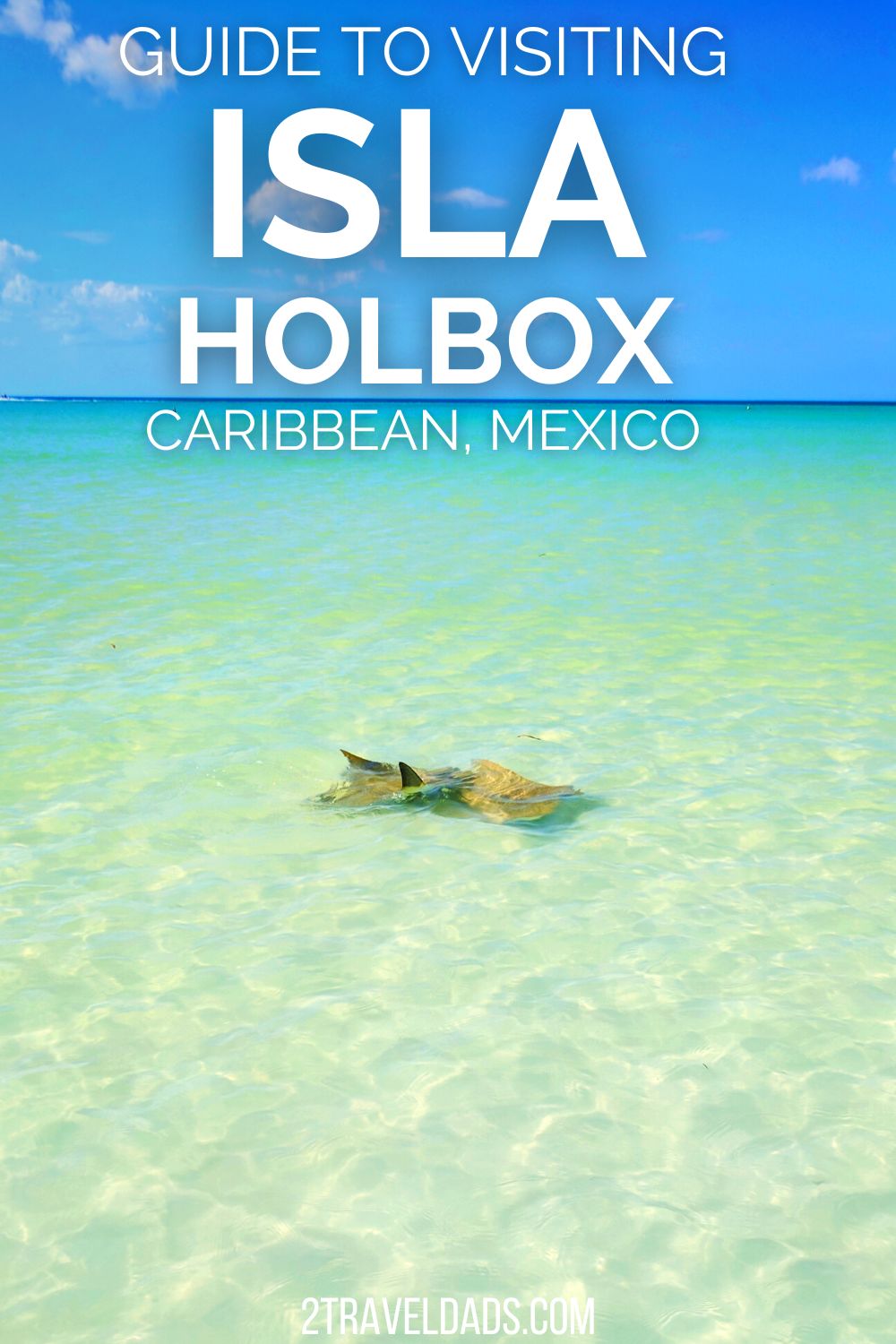 Isla Holbox is a gem when it comes to Caribbean destinations. This small Mexican island has no cars, beautiful street art and amazing food. From flamingos to sea stars, see what you'll find on Isla Holbox.