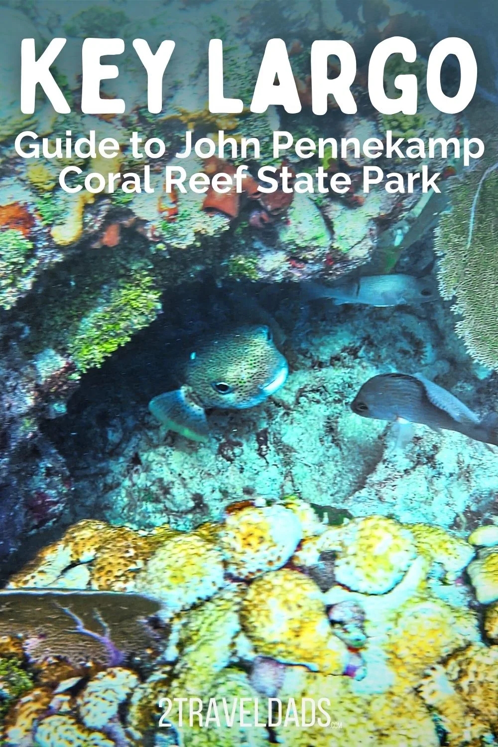 John Pennekamp Coral Reef State Park is located in Key Largo, in the upper Florida Keys. If you are looking for a great place for water activities this is the perfect spot!