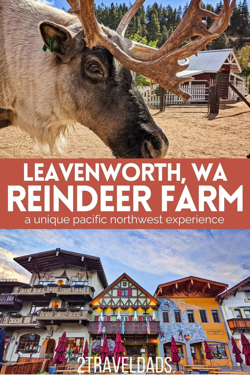 The Leavenworth Reindeer Farm is one of the best things to do when visiting Washington's Bavarian village. See what to expect and things to do and then plan a visit to this unique Pacific Northwest farm.