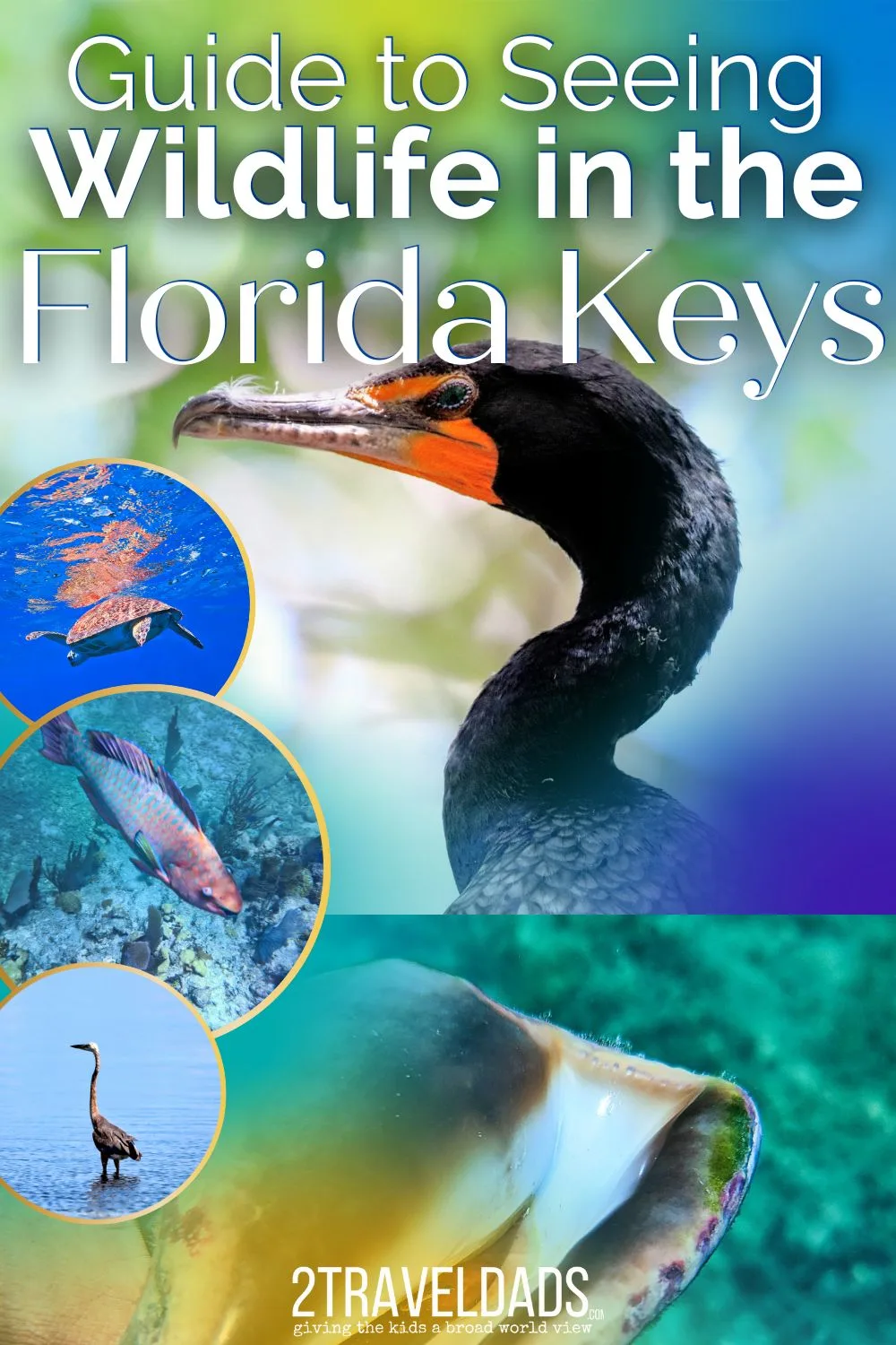 The wildlife in the Florida Keys is just as incredible as the turquoise waters and beautiful resorts. We've picked our favorite creatures to encounter, to dive with, and observe from the land. Tips for wildlife sighting and top tours for responsible wildlife experiences.