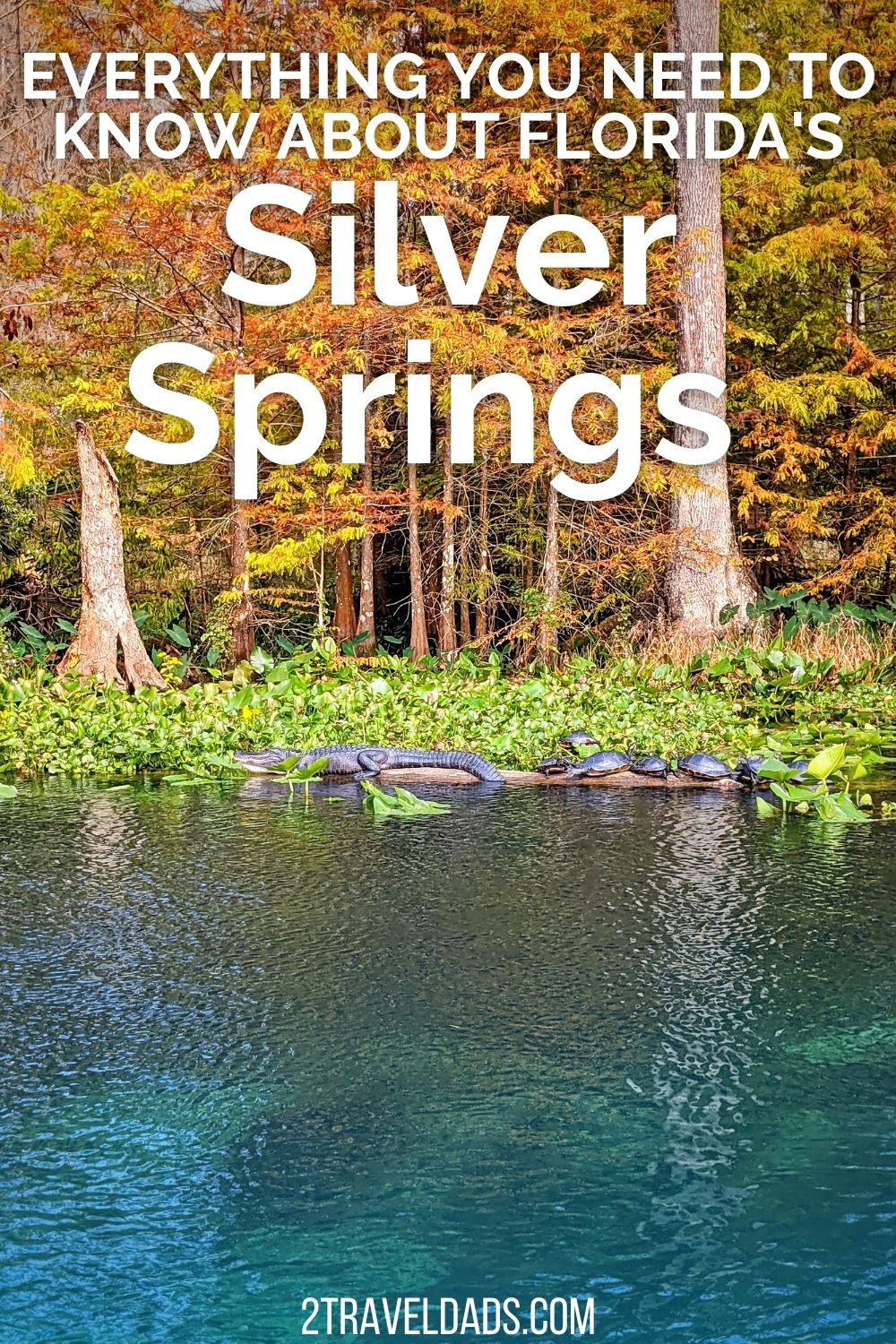 Silver Springs State Park is one of the prettiest places in Florida, and perhaps the best state park. Guide to manatees, kayaking, trails, glass bottom boats and visiting Silver Springs.