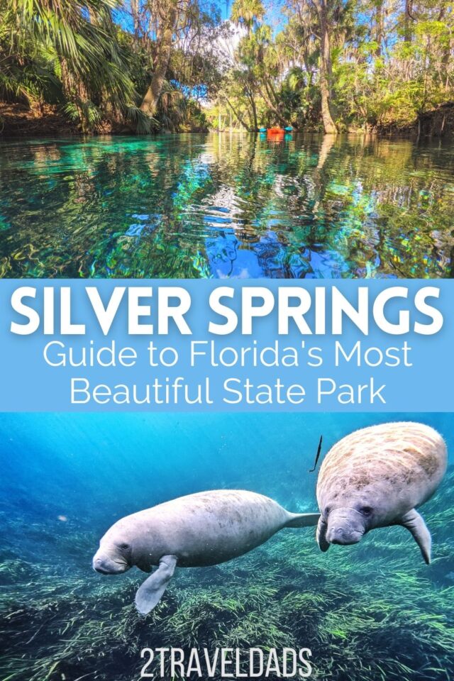 Silver Springs State Park: From Kayaking with Monkeys to Glass Bottom Boats