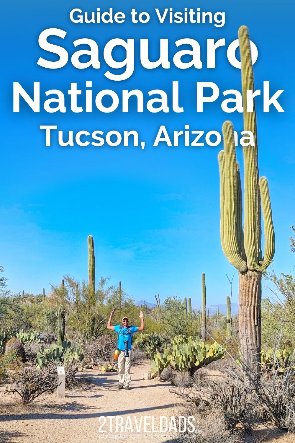 Visiting Saguaro National Park is awesome if you're prepared for the heat and the hikes. From wildlife watching to bringing dogs into Saguaro NP, here are all the tips and trick you need for a great visit.