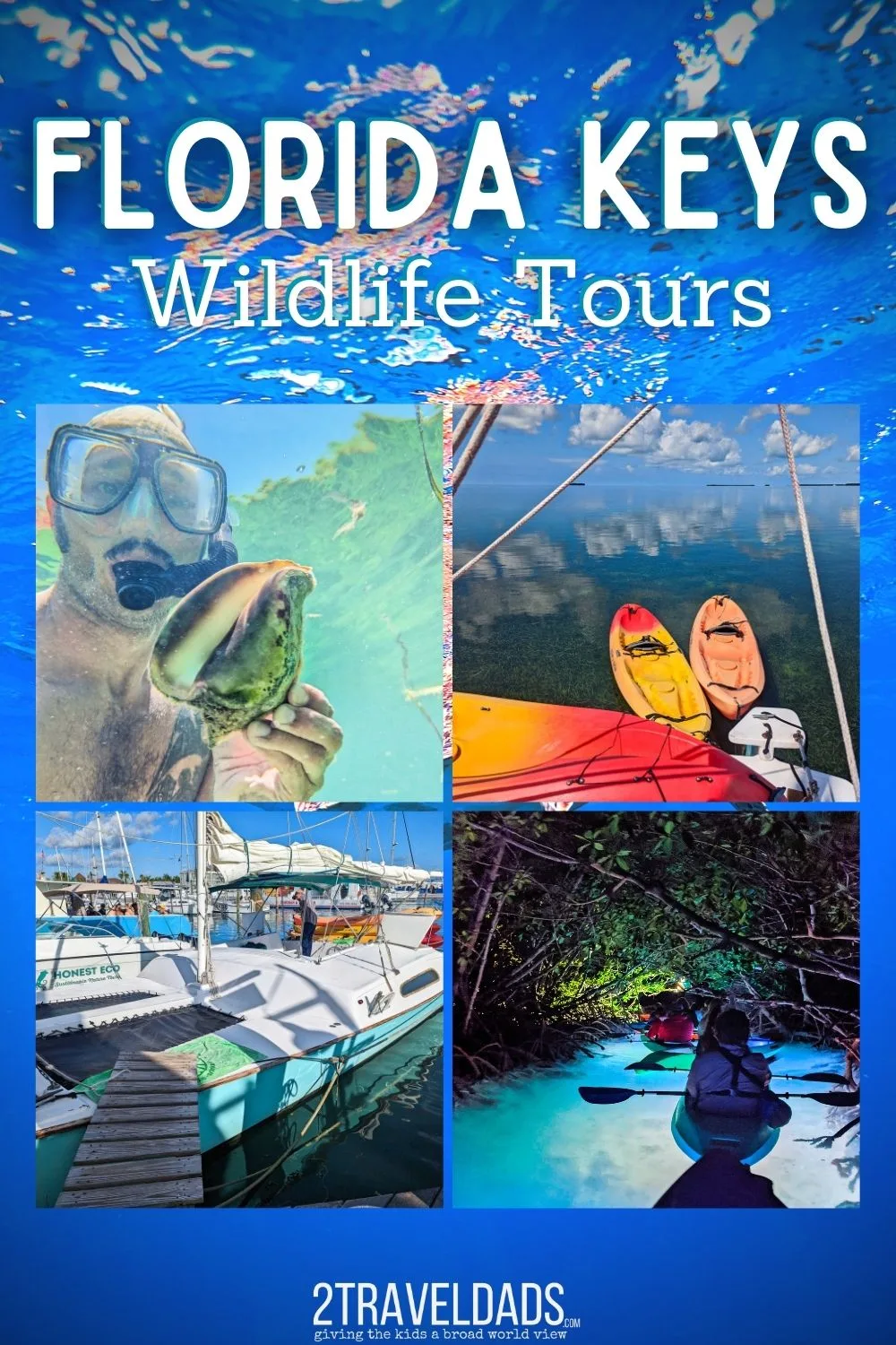 There are lots of great wildlife tours in the Florida Keys, for everything from seeing dolphins to diving at beautiful reefs. We've picked our favorite wildlife tours including kayaking, sailing and catamarans to help visitors plan great experiences.