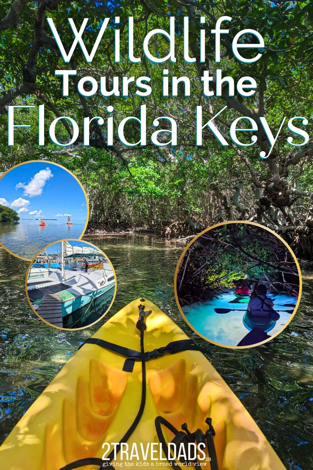 There are lots of great wildlife tours in the Florida Keys, for everything from seeing dolphins to diving at beautiful reefs. We've picked our favorite wildlife tours including kayaking, sailing and catamarans to help visitors plan great experiences.