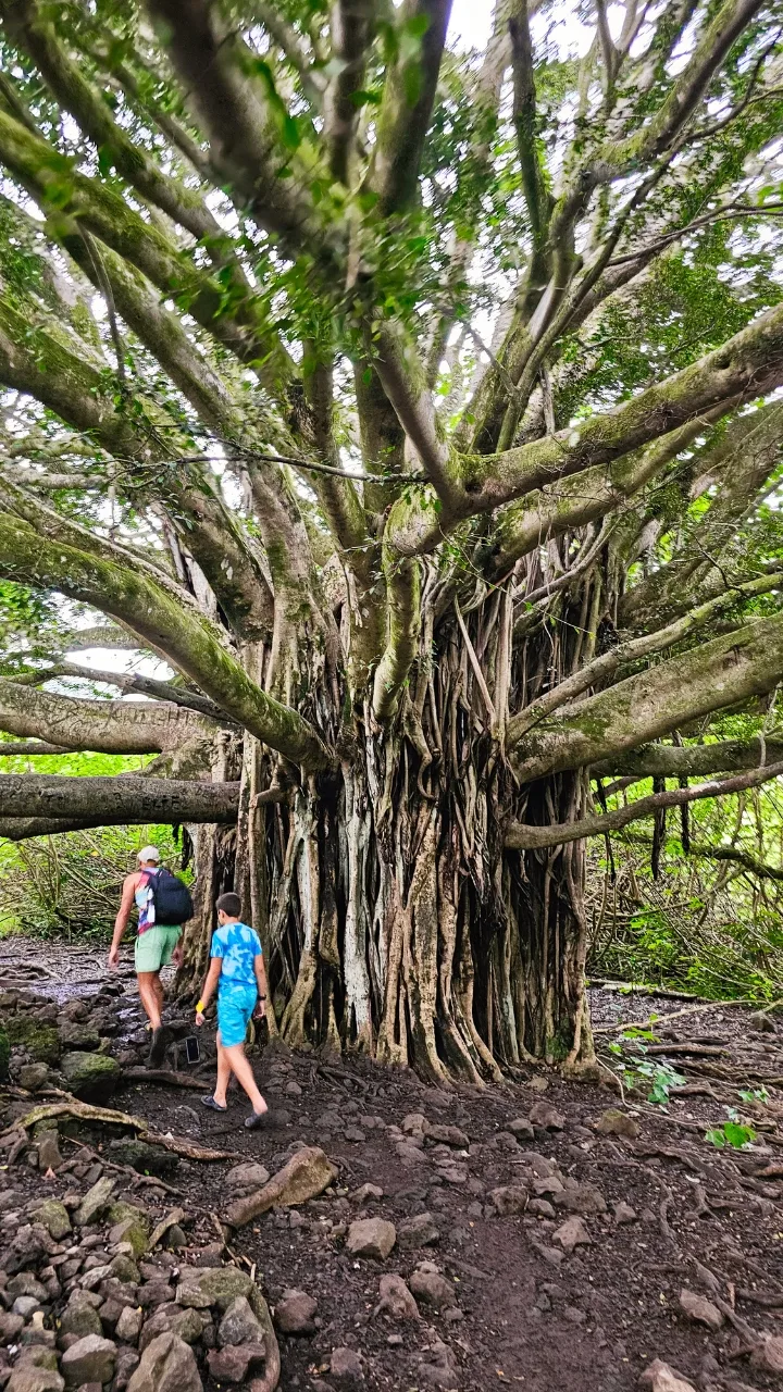 Family Hiking in Haleakala National Park