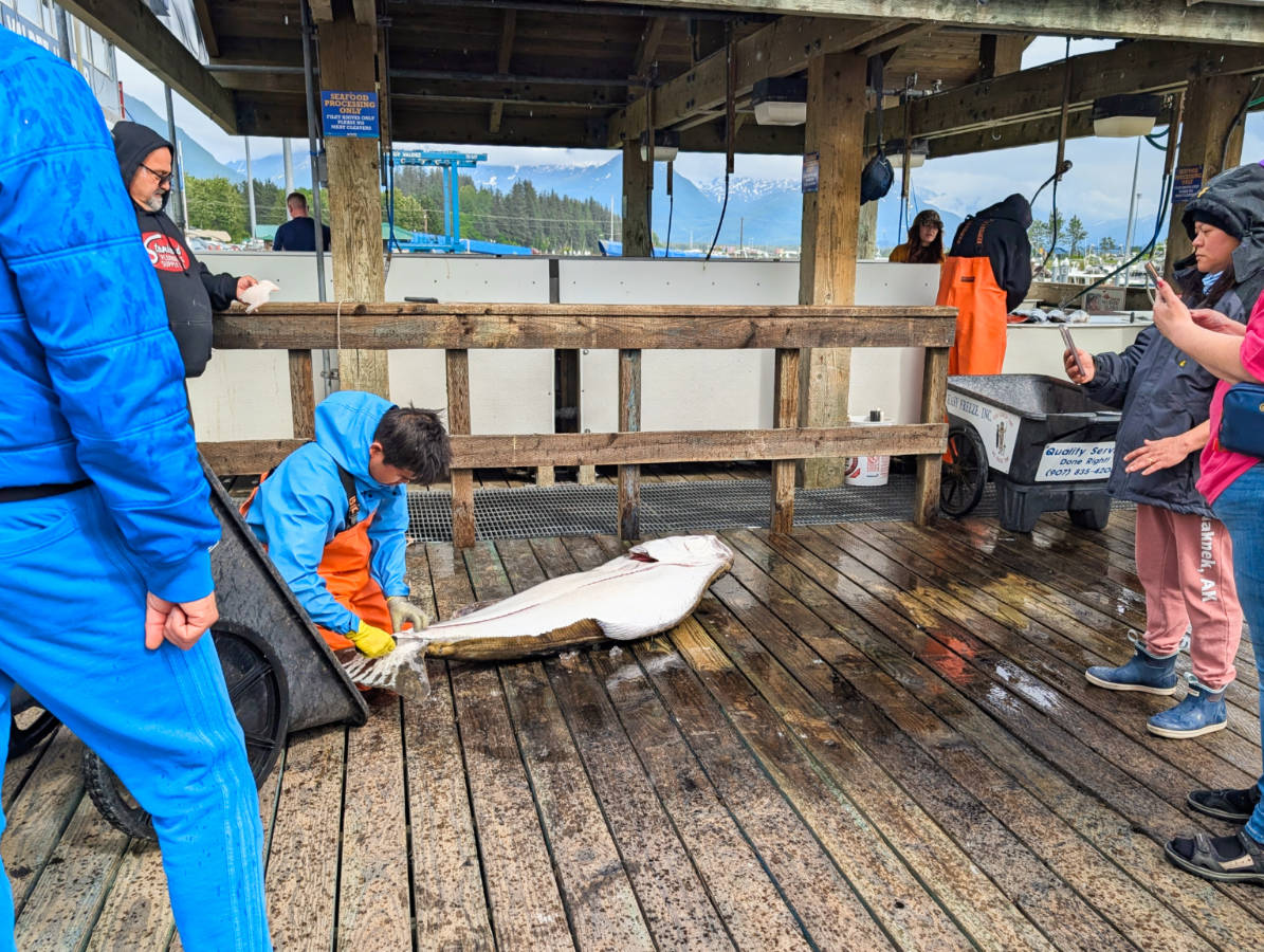Halibut Derby on Waterfront in Valdez Alaska