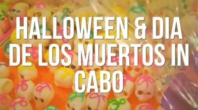 Halloween and Dia del los Muertos in Cabo Landing