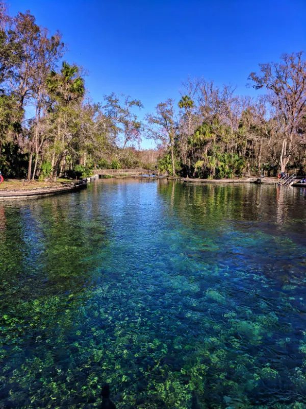 Headsprings at Wekiwa Springs State Park Central Florida 2