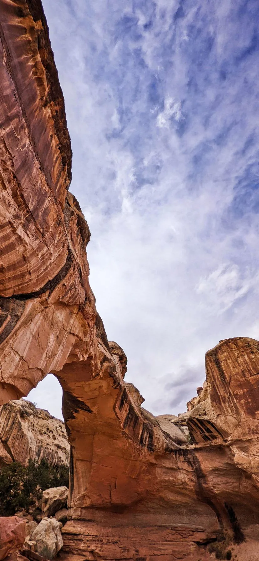 Hickman Natural Bridge Capitol Reef Utah National Parks Road Trip