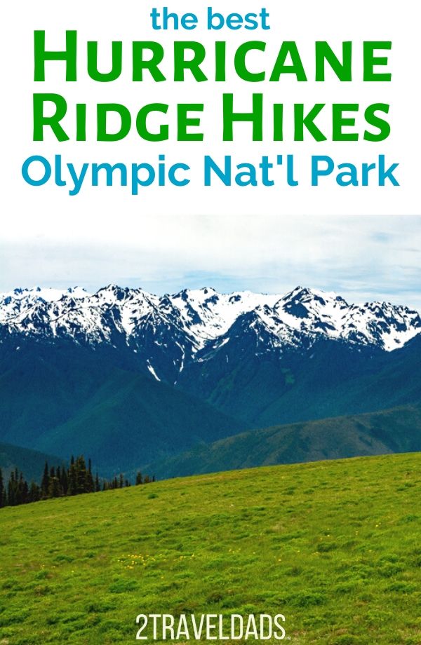 Hiking Hurricane Ridge: one of the best day trips to the Olympic Peninsula. Trails rated from easiest to most difficult, awesome Olympic NP views and nature. Tips for visiting Hurricane Ridge any time of year.