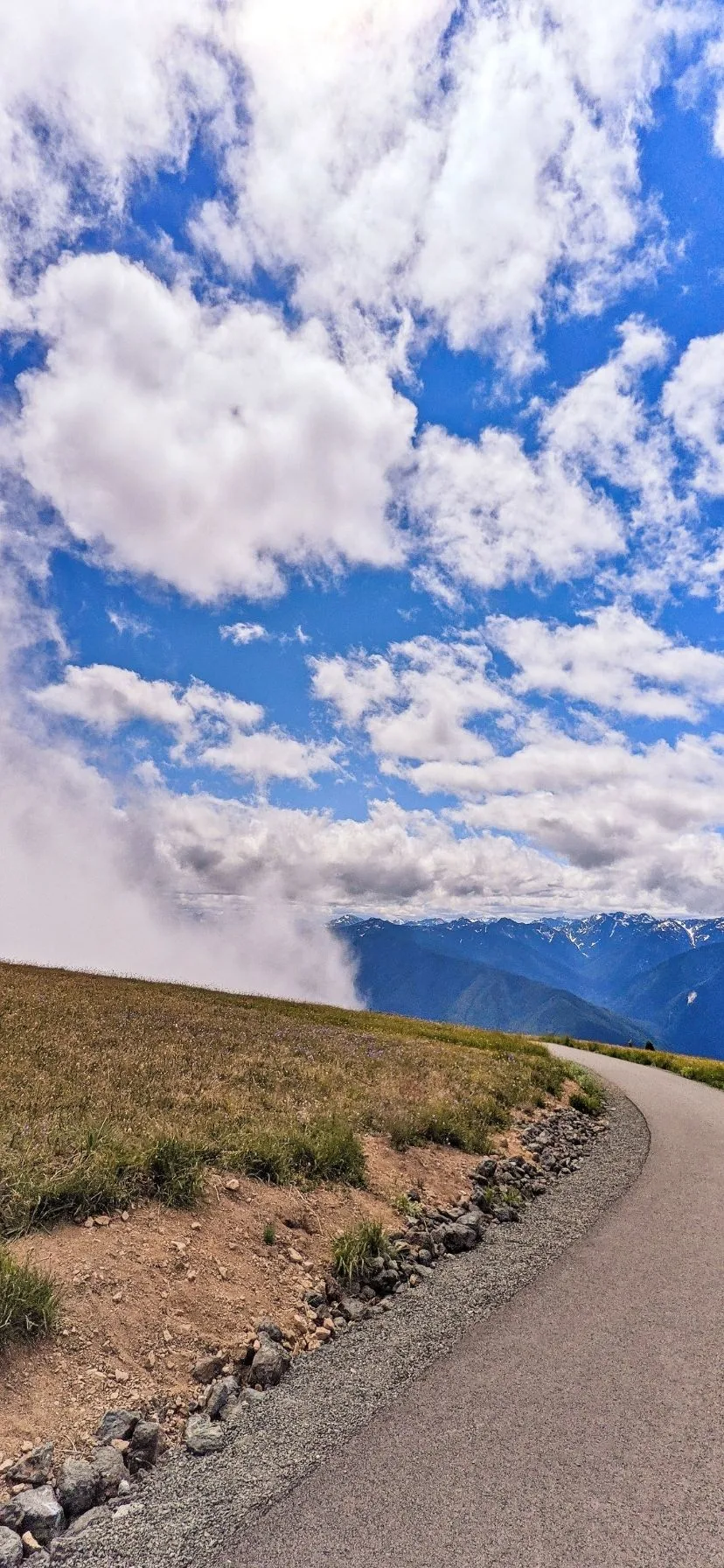 Hiking Trail at Hurricane Ridge Olympic National Park